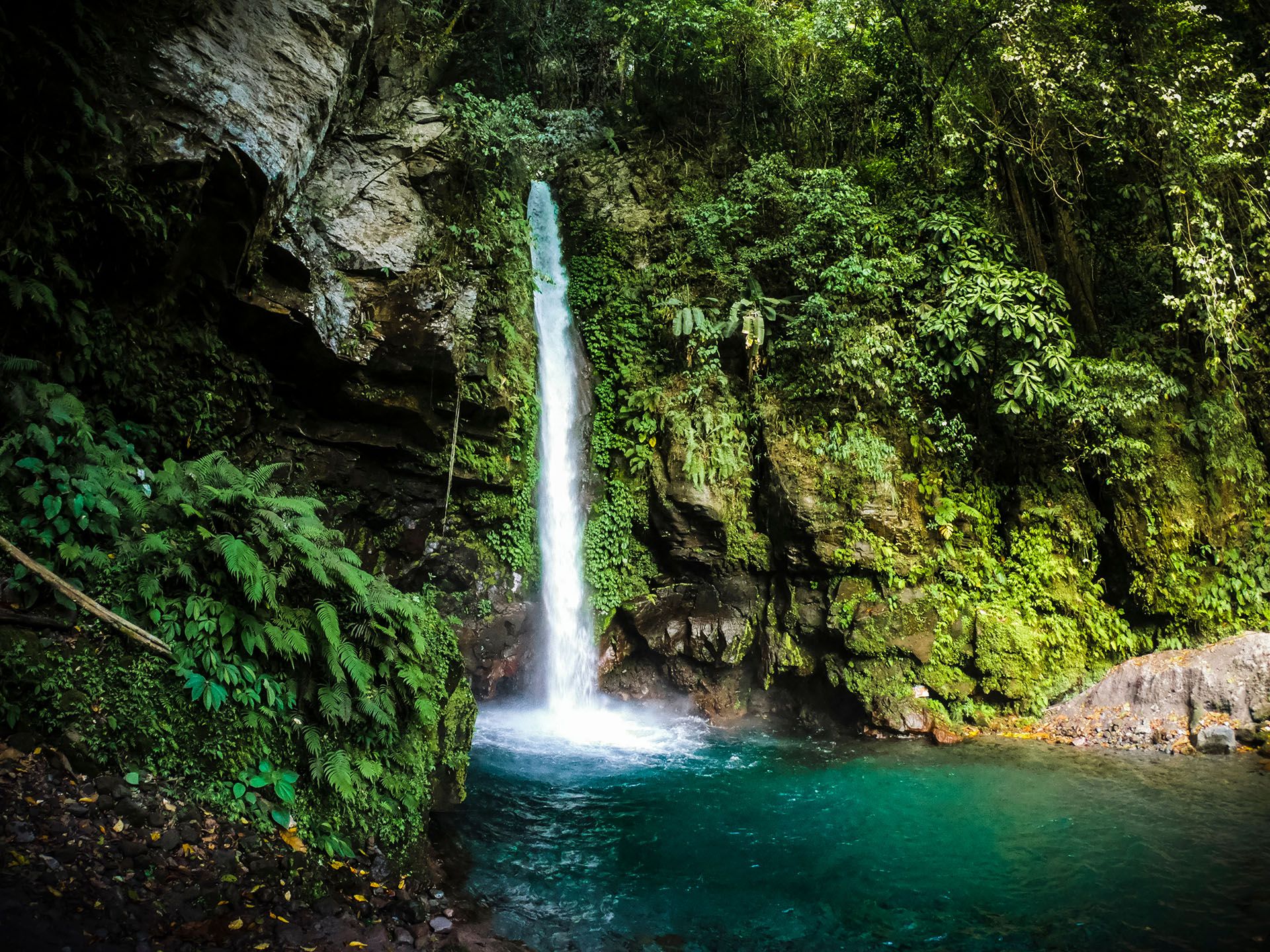 Travelers swimming in the ice-cold natural basin of Tuasan Falls