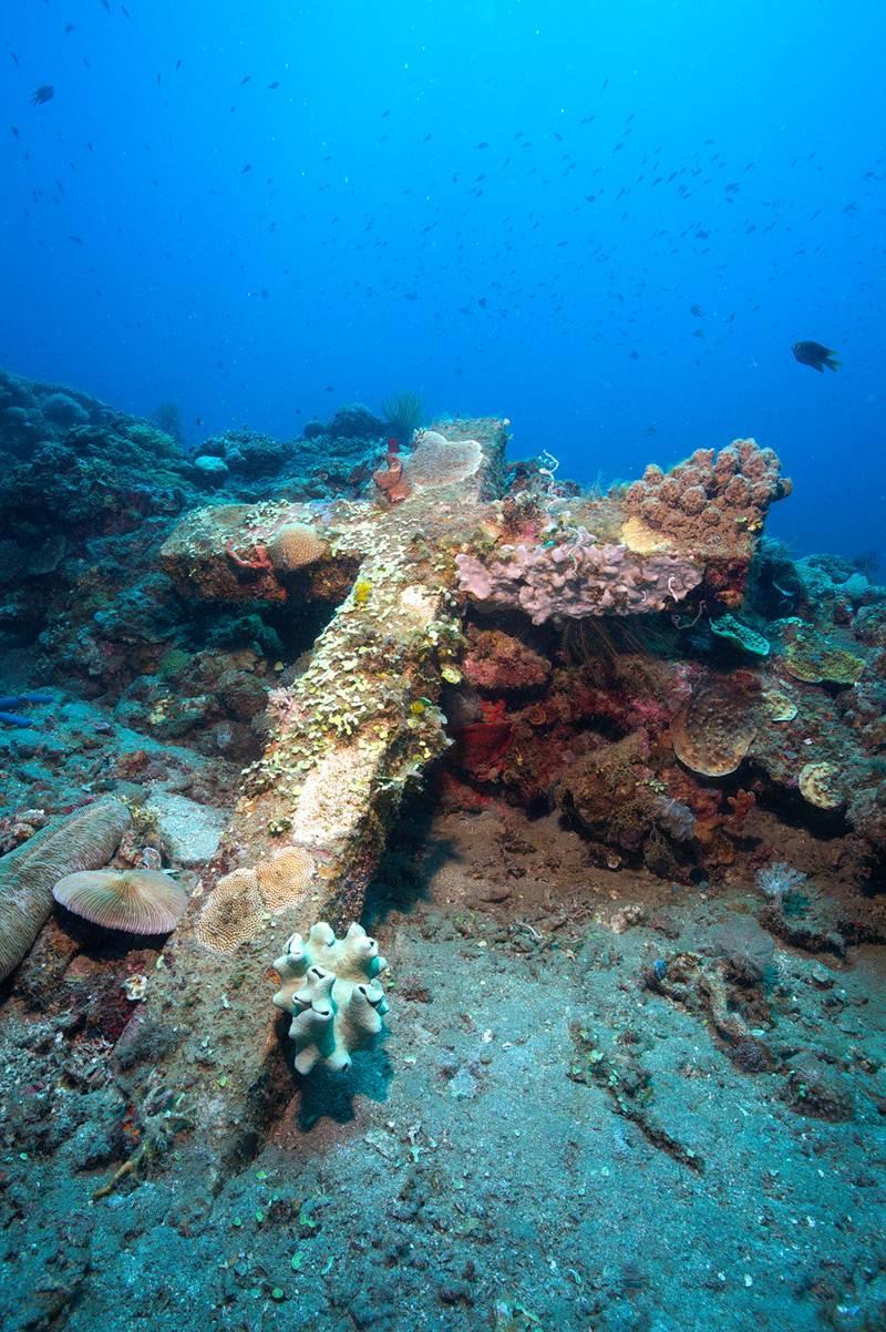 Vibrant coral reefs under the waves